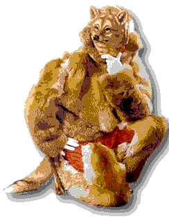 roter Fuchs, Einzelmaske in der Narrenzunft Triberg